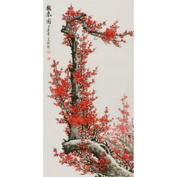 Plum - CNAG003403