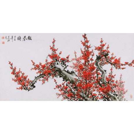 Plum - CNAG003404