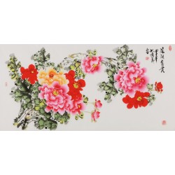 Peony - CNAG003405