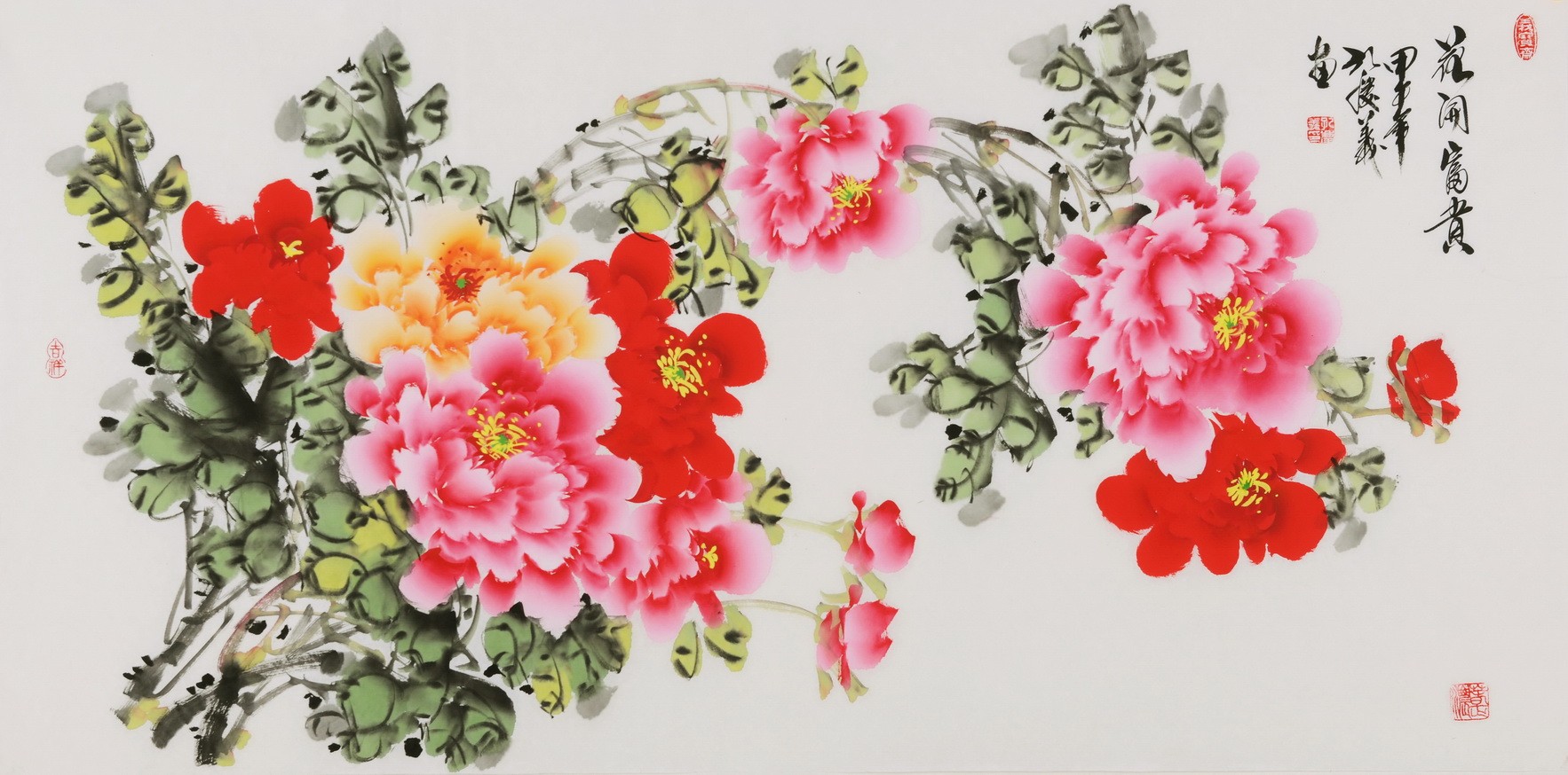 Peony - CNAG003405