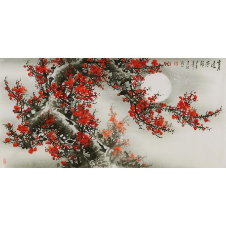 Plum - CNAG003406