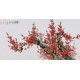 Plum - CNAG003408