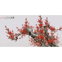Plum - CNAG003408