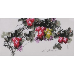 Grapes - CNAG003413