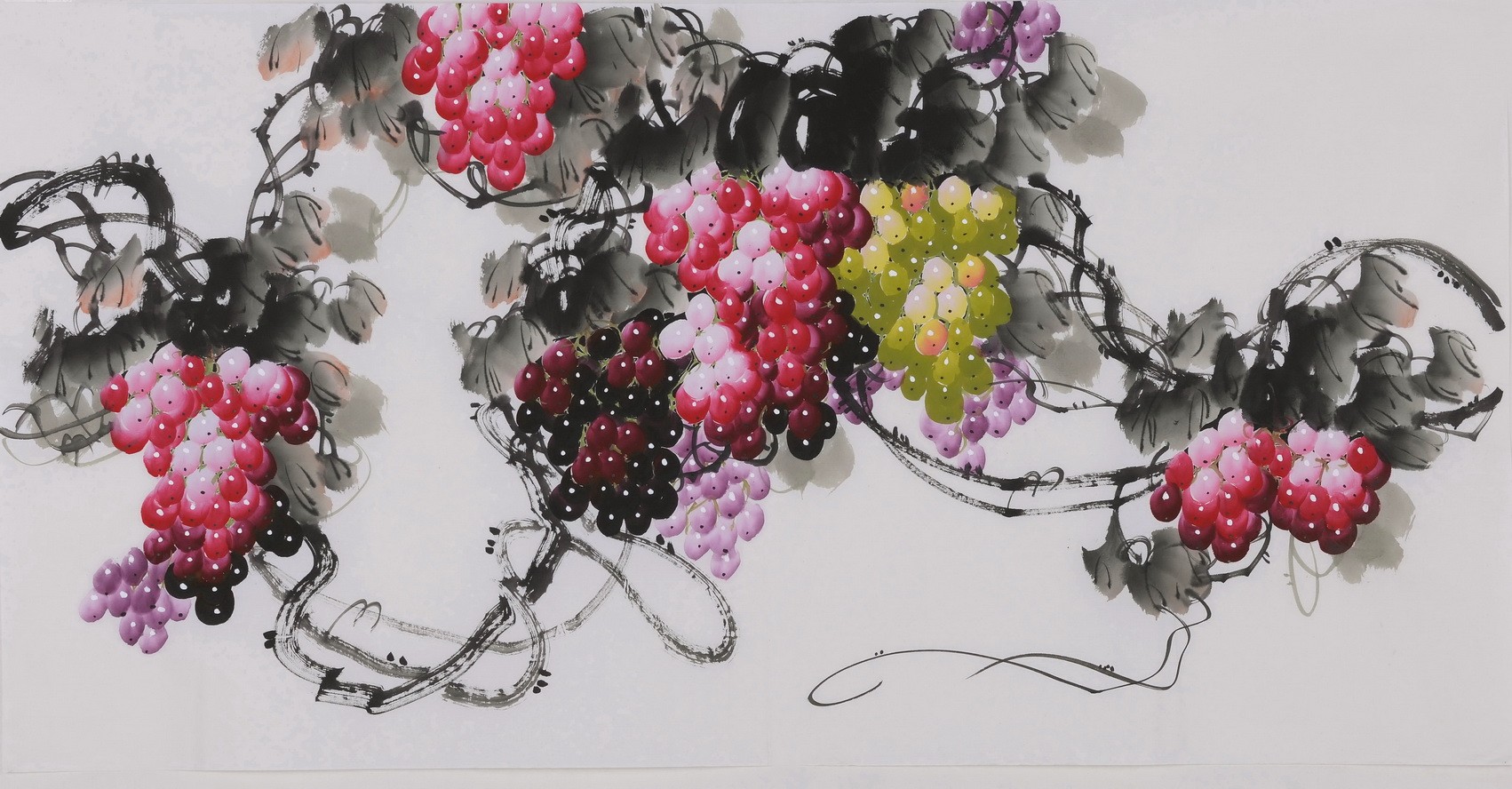 Grapes - CNAG003415