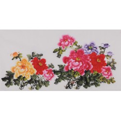 Peony - CNAG003417