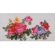 Peony - CNAG003418