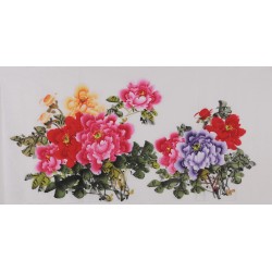 Peony - CNAG003418