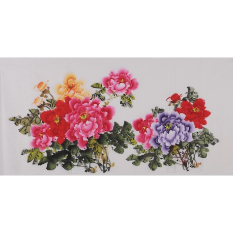 Peony - CNAG003418