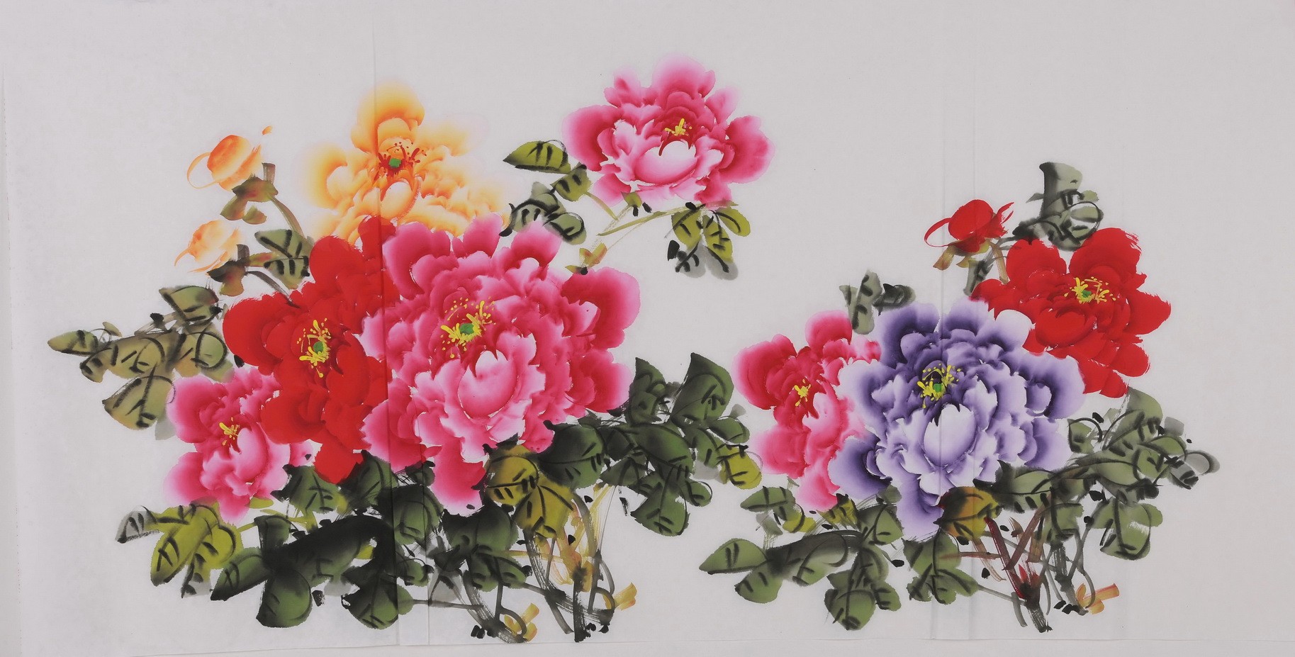 Peony - CNAG003418