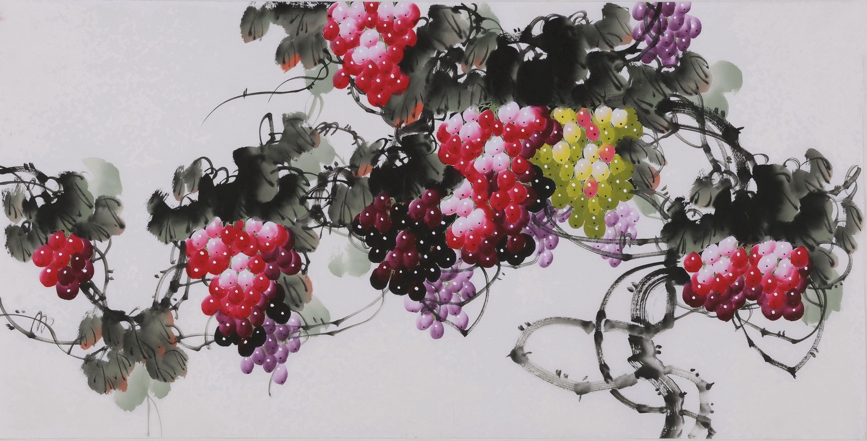 Grapes - CNAG003420