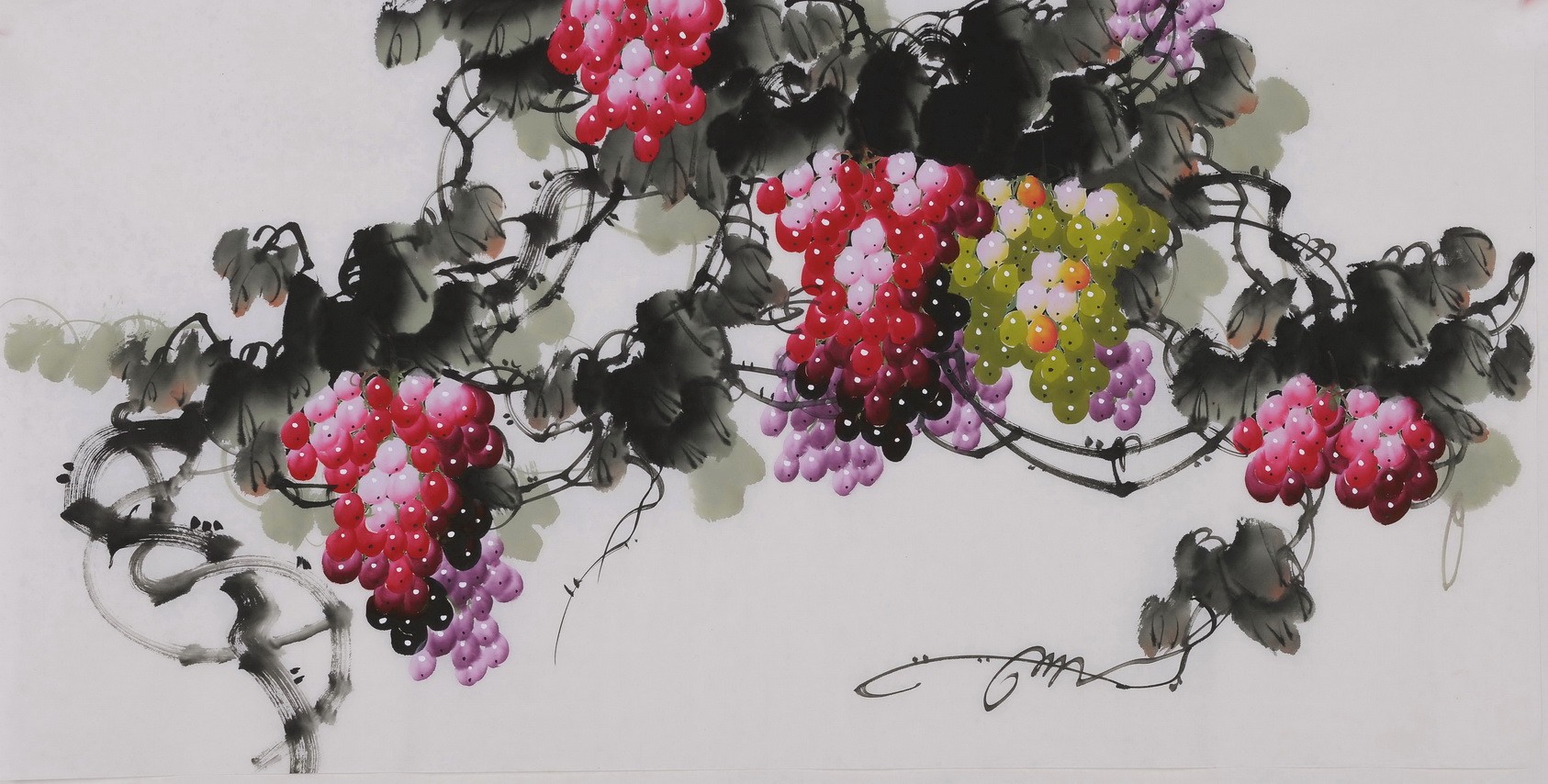 Grapes - CNAG003421