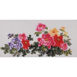 Peony - CNAG003426