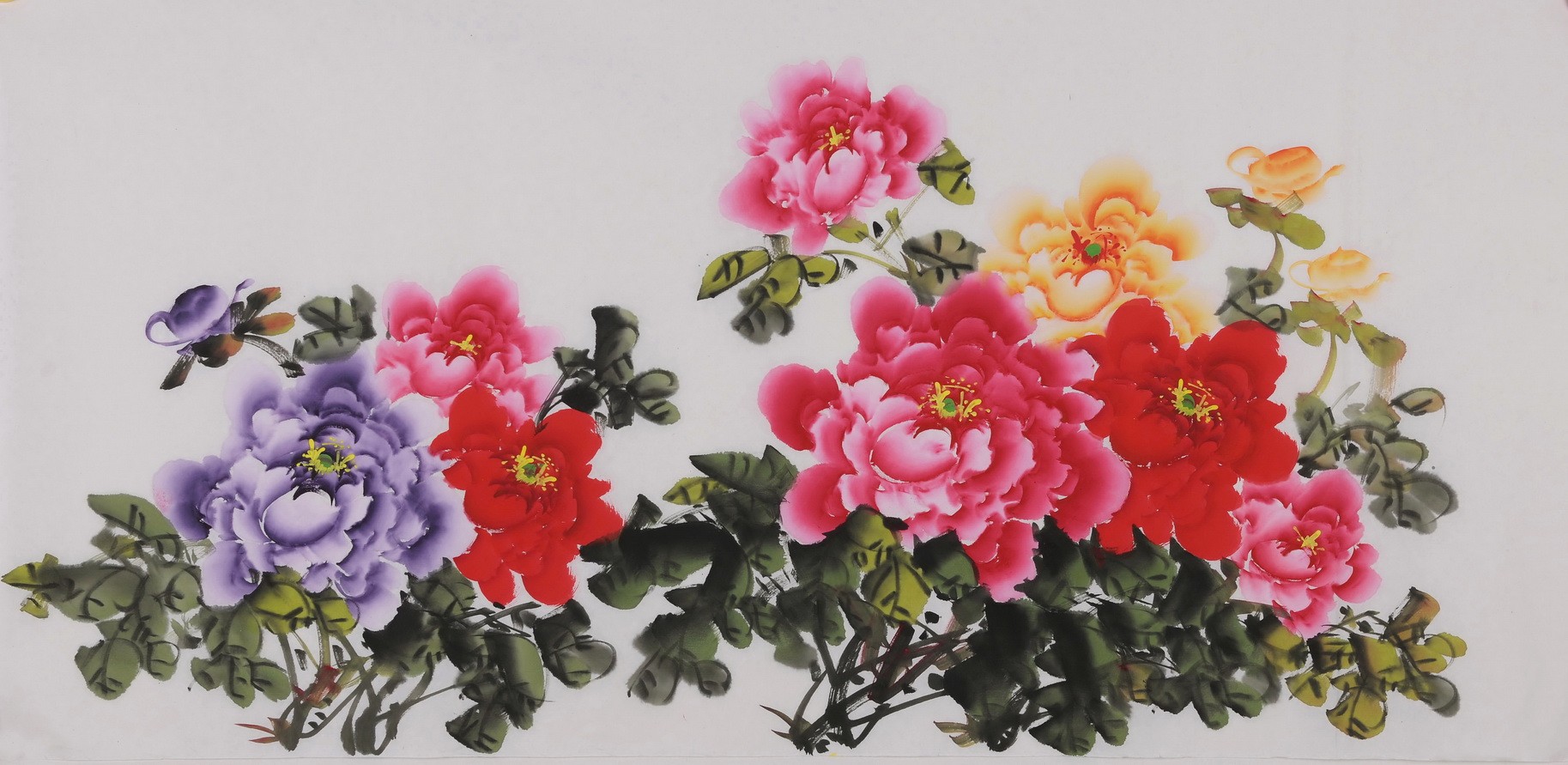 Peony - CNAG003426