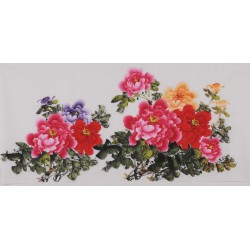 Peony - CNAG003428
