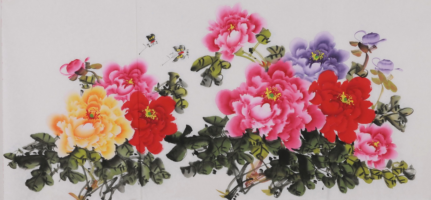 Peony - CNAG003430