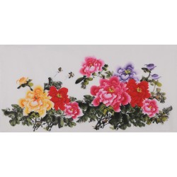 Peony - CNAG003431