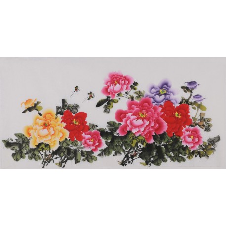 Peony - CNAG003431