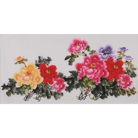 Peony - CNAG003435