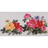 Peony - CNAG003435