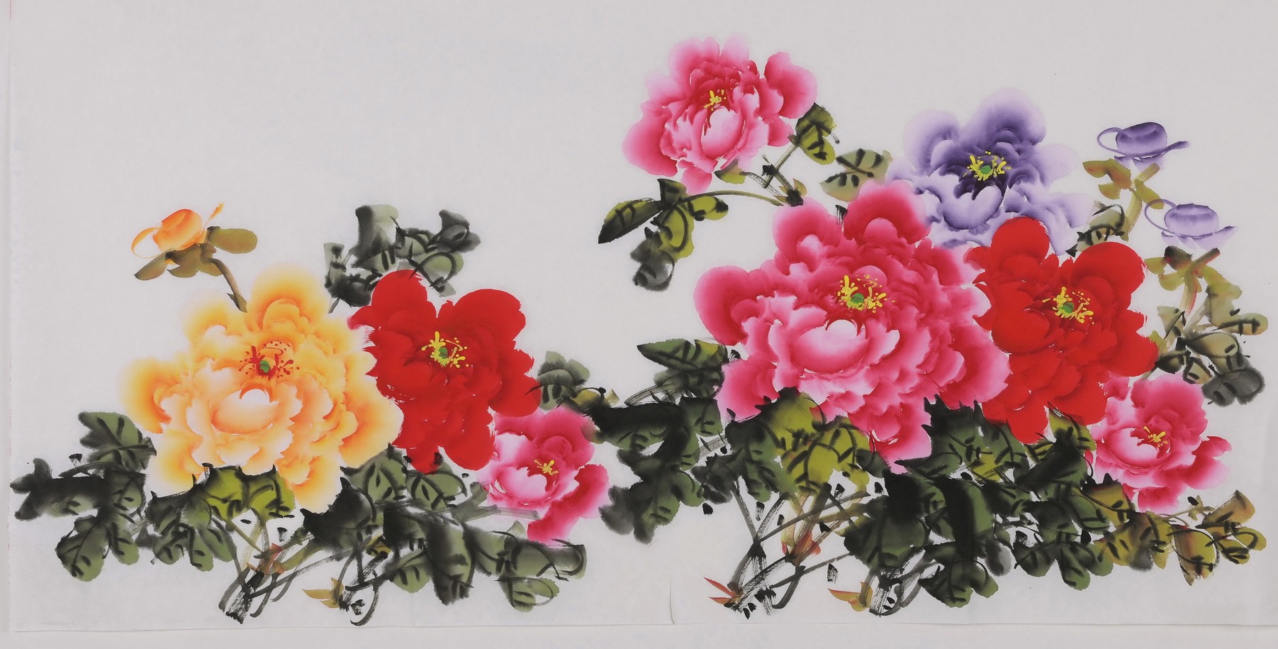 Peony - CNAG003435