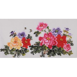 Peony - CNAG003438