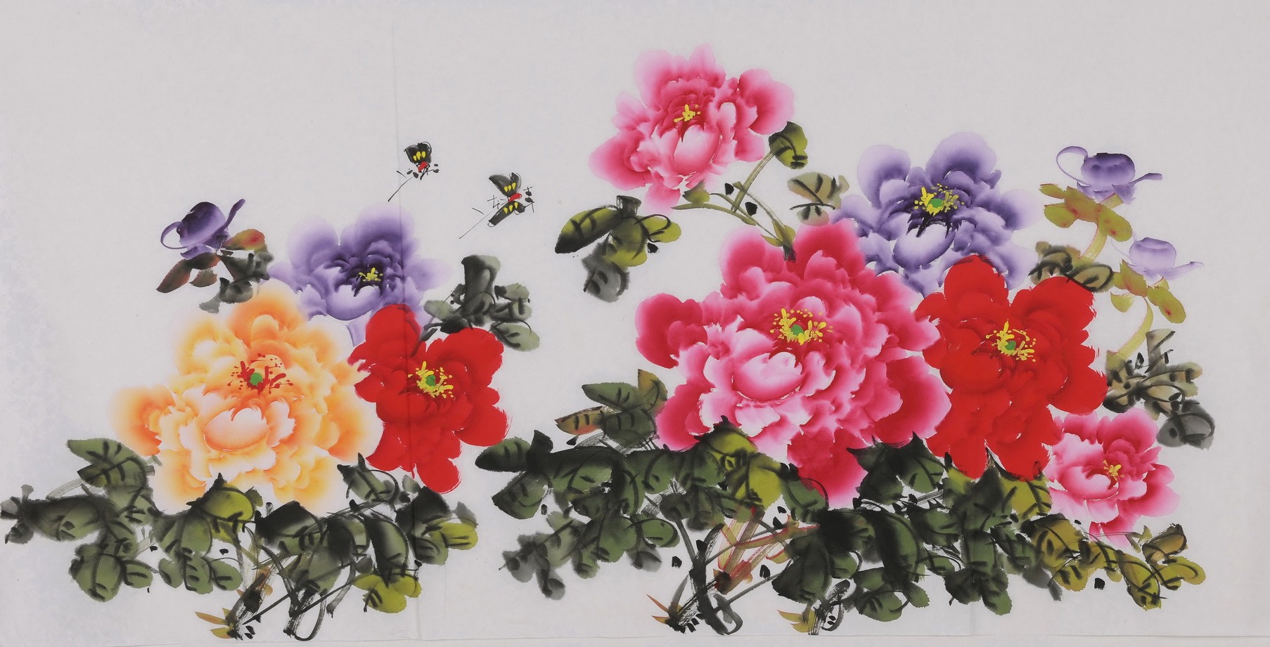 Peony - CNAG003438