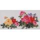 Peony - CNAG003439