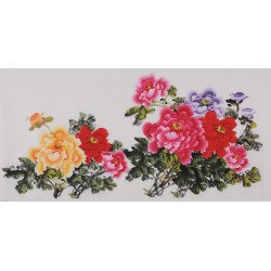 Peony - CNAG003439