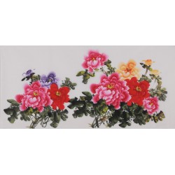 Peony - CNAG003440