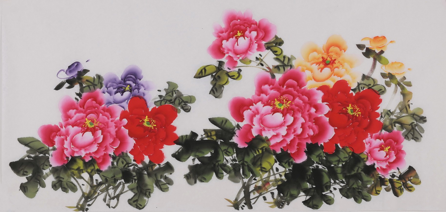 Peony - CNAG003440