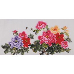 Peony - CNAG003442