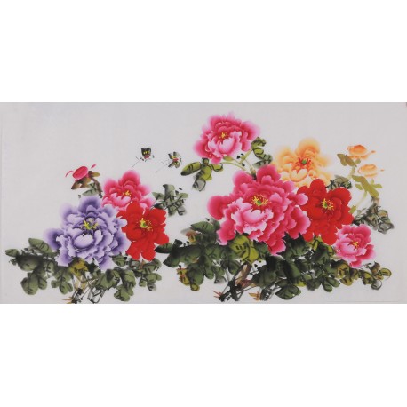Peony - CNAG003442