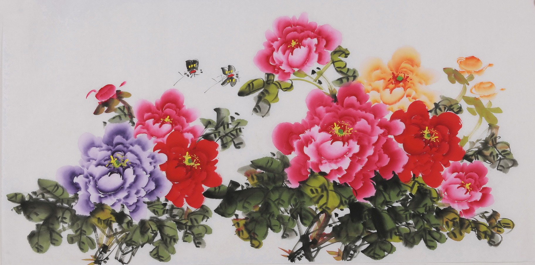 Peony - CNAG003442