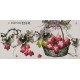 Grapes - CNAG003444