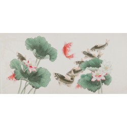 Fish - CNAG003446