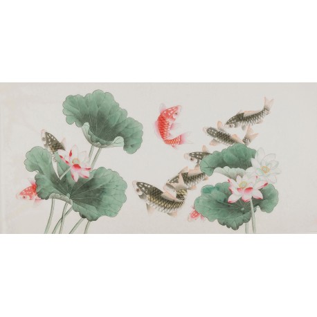 Fish - CNAG003446