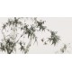 Ink Bamboo - CNAG003448