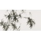 Ink Bamboo - CNAG003449