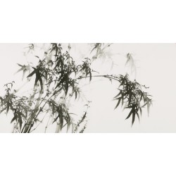 Ink Bamboo - CNAG003449
