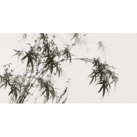 Ink Bamboo - CNAG003449