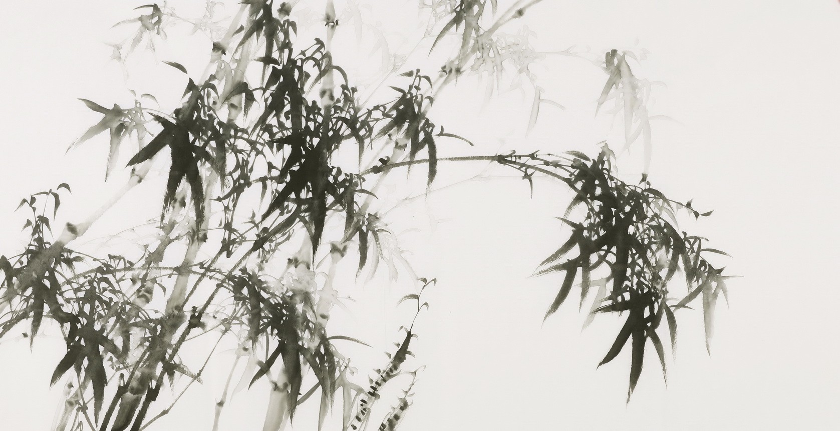Ink Bamboo - CNAG003449