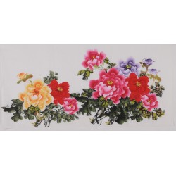 Peony - CNAG003456