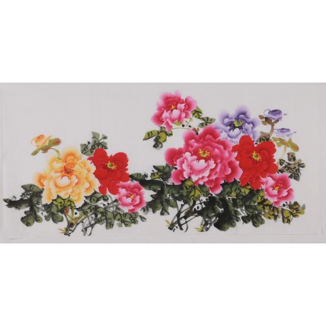 Peony - CNAG003456