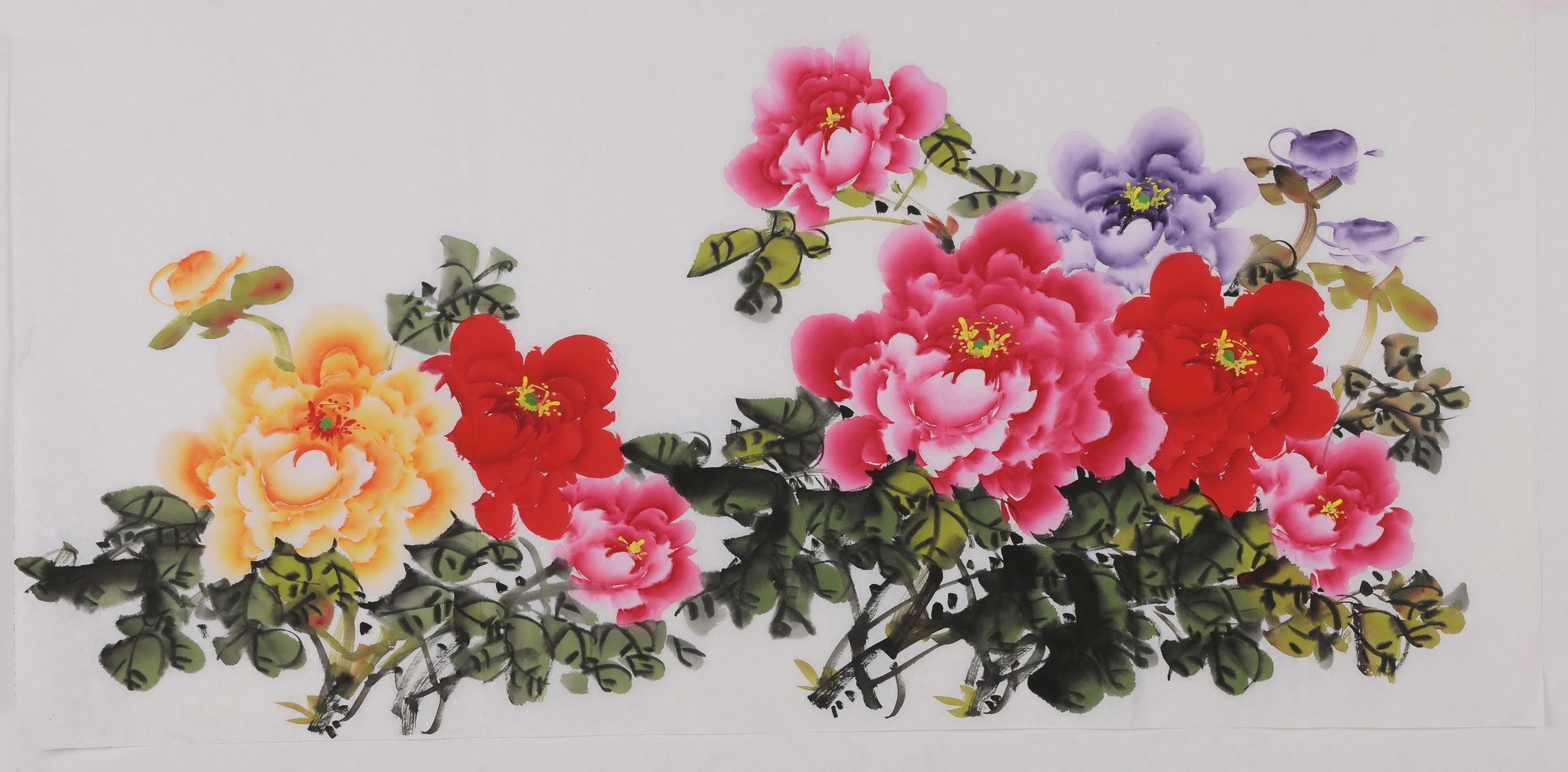 Peony - CNAG003456