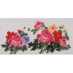 Peony - CNAG003457