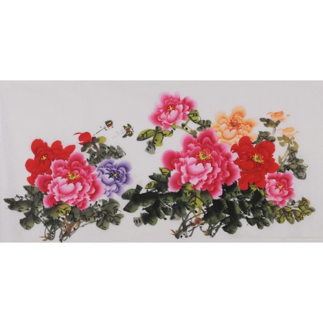 Peony - CNAG003457