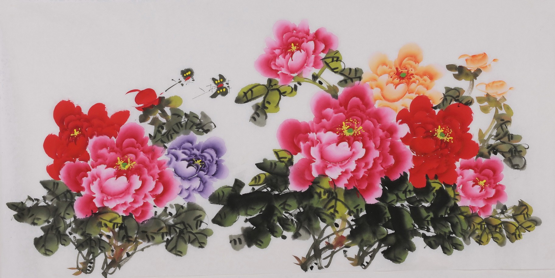 Peony - CNAG003457