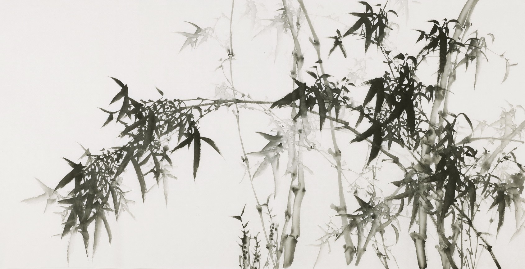 Ink Bamboo - CNAG003460