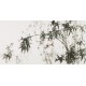 Ink Bamboo - CNAG003463